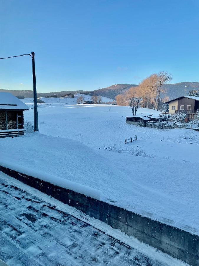 Villa Iris Asiago - Giardino E Parcheggio Dış mekan fotoğraf